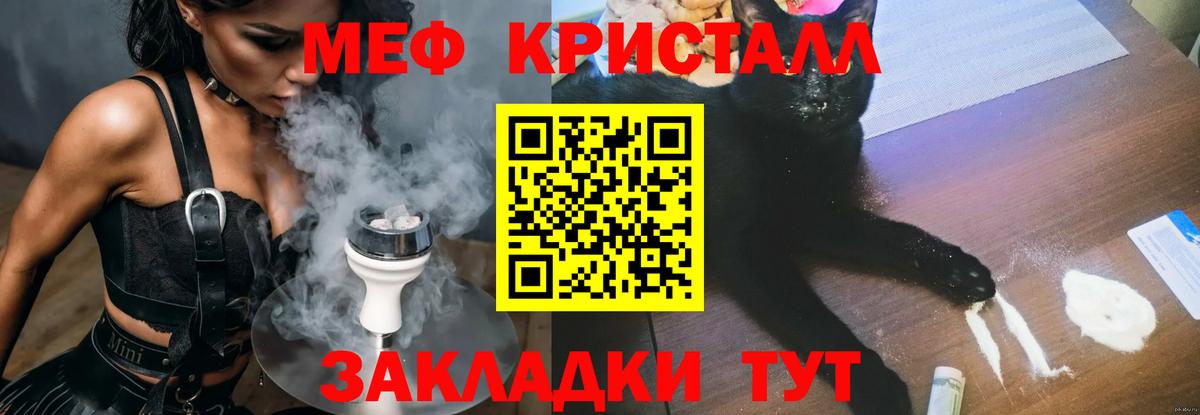 МЕФ  Шадринск