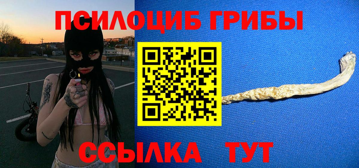 Псилоцибиновые грибы ЛСД  Вход с VPN  Галлюциногенные грибы Psilocybe  Шадринск 