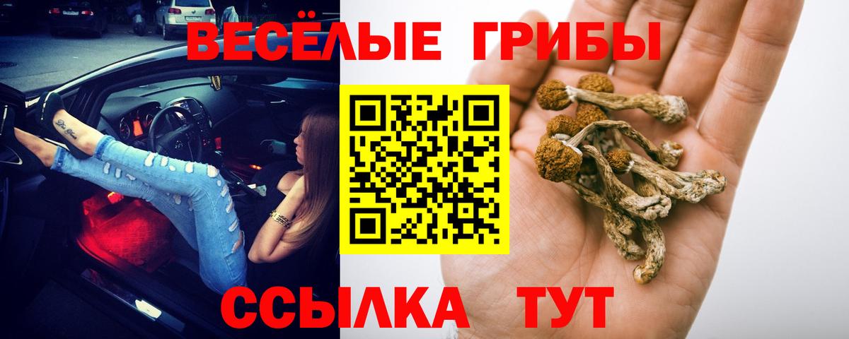 Псилоцибиновые грибы ЛСД Шадринск